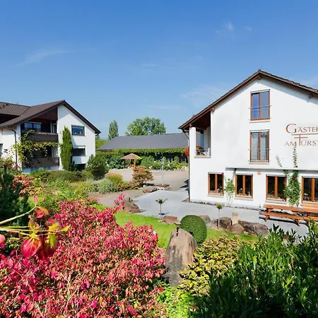 Gasthof Gästehaus Am Fürstweg Volker Kuhn Komfortzimmer