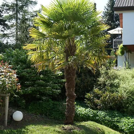 Gästehaus Am Fürstweg Volker Kuhn Komfortzimmer Gasthof 4*